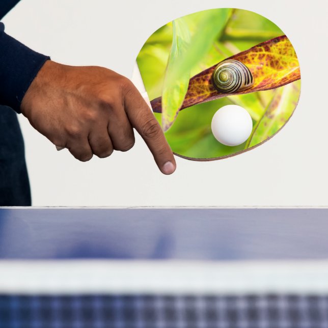 calm attachment ping pong paddle (Insitu)