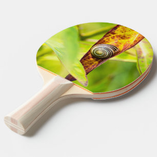 calm attachment ping pong paddle