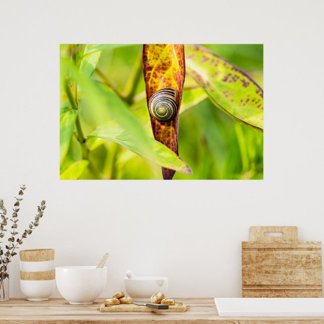 calm attachment poster (Kitchen)