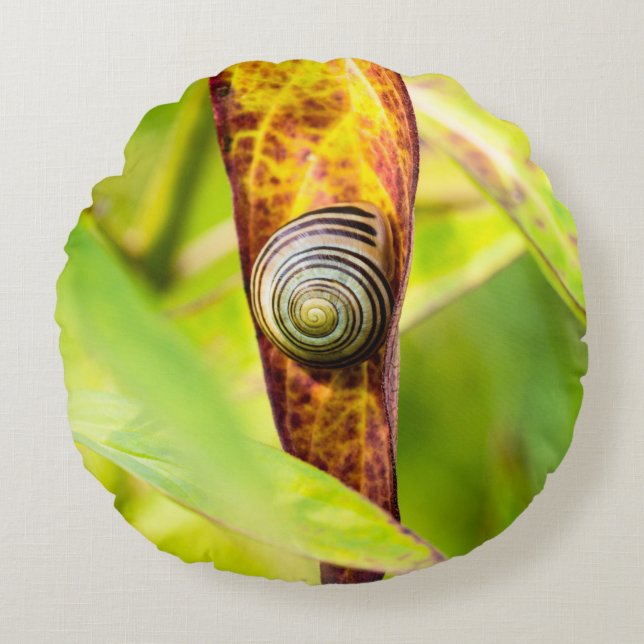 calm attachment round cushion (Front)