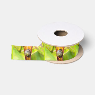 calm attachment satin ribbon
