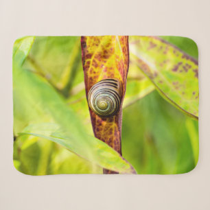 calm attachment sherpa blanket