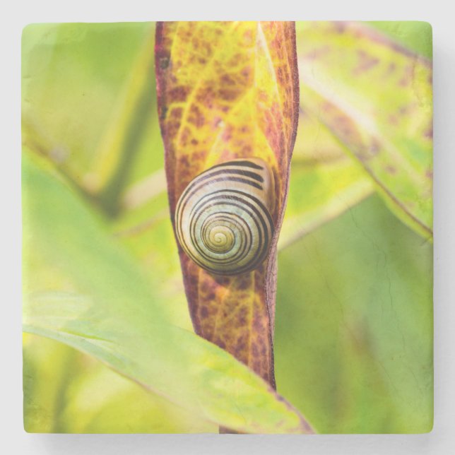 calm attachment stone coaster (Front)