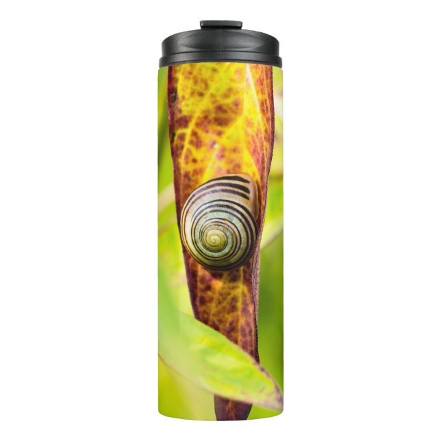 calm attachment thermal tumbler (Front)