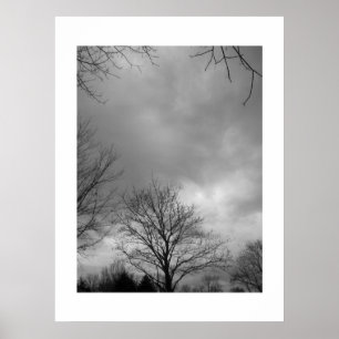 Calm before the Storm Canvas Poster