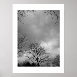 Calm before the Storm Canvas Poster