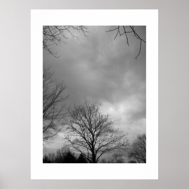 Calm before the Storm Canvas Poster (Front)