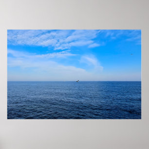 Calm Black Sea Romania – Seagulls Blue Sky Print