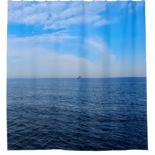 Calm Black Sea Romania – Seagulls Blue Sky Print Shower Curtain