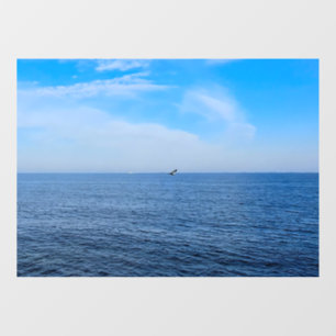 Calm Black Sea Romania – Seagulls Blue Sky Print Window Cling