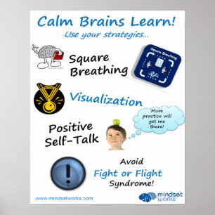 Calm Brains Learn poster for Brainology®