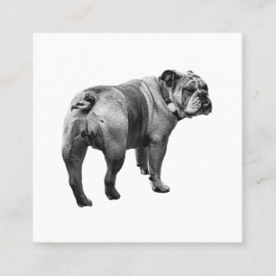 Calm Bulldog, Soft Emblem Square Business Card