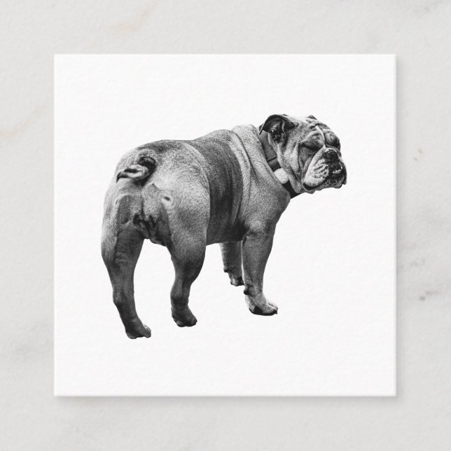 Calm Bulldog, Soft Emblem Square Business Card (Front)
