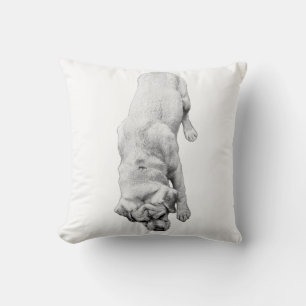 Calm Companion Cushion