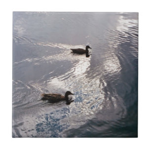 Calm Ducks Before the Storm Tile