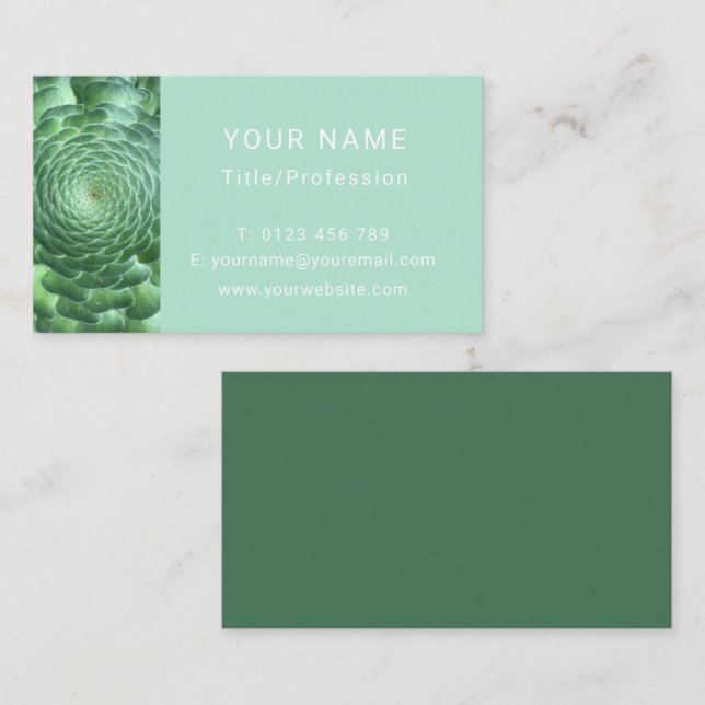 Calm Green Succulent Plant Business Card (Front/Back)