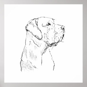 Calm Labrador Retriever Wall Art, Hand Drawn Poster