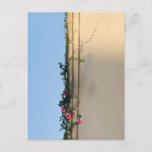 Calm Moment Photo Postcard