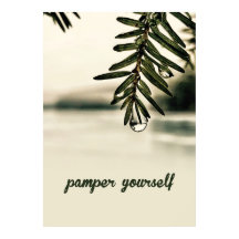 Calm Nature Spa Aesthetic