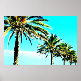 calm palm poster