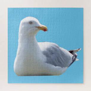 Calm Seagull on Beach Wildlife Ocean Photo Scene Jigsaw Puzzle