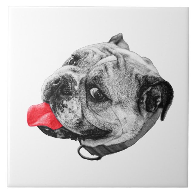 Calm Set with Warmth Tile (Front)