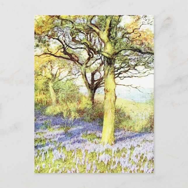Calm Tree and Flower FIeld Landscape Postcard (Front)