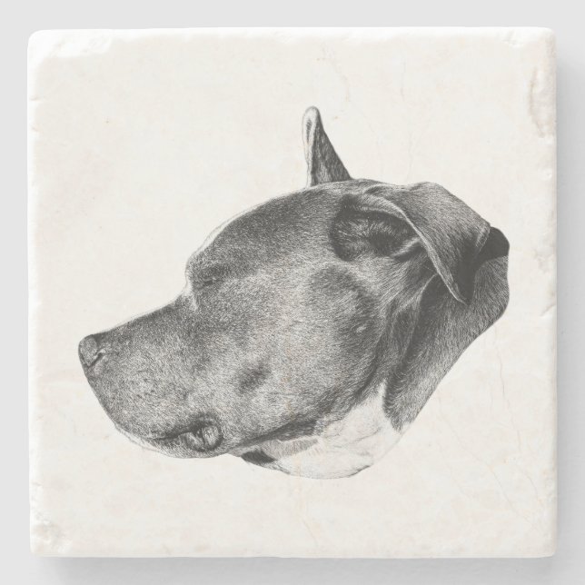 calm watchful gaze stone coaster (Front)