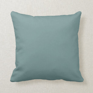 Calmed Aquamarine Blue-Green Solid Colour SW 0020 Cushion