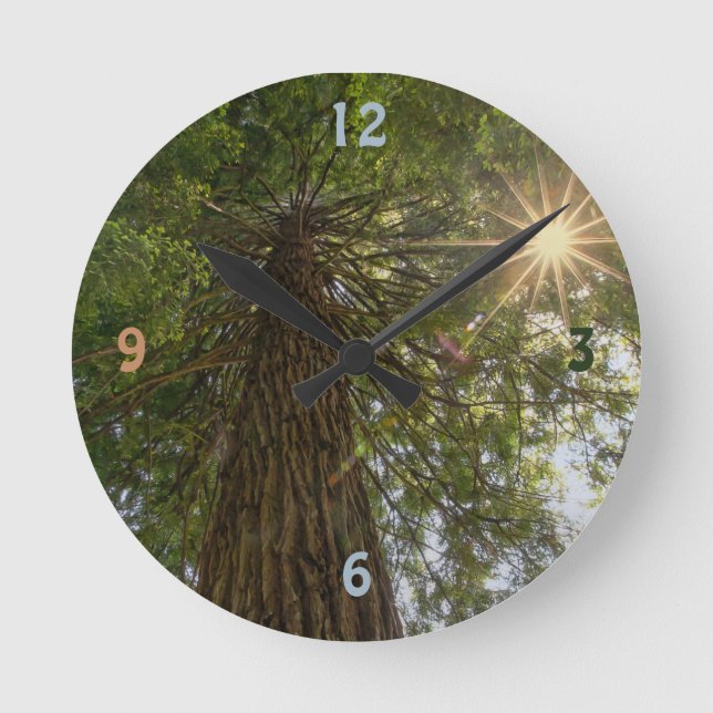 Calming Sequoia With Sunburst Nature Photo Round Clock (Front)