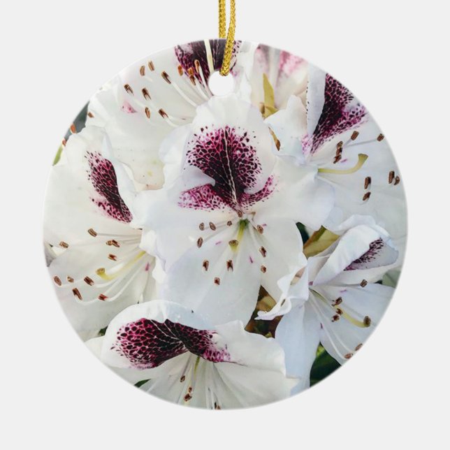 Calsap Rhododendrons Ceramic Tree Decoration (Front)