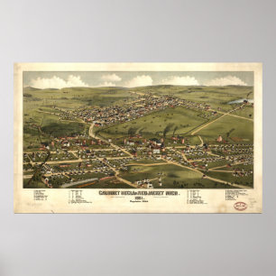 Calumet Michigan 1881 Antique Panoramic Map Poster