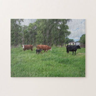 Calves and Cows in Pasture Jigsaw Puzzle