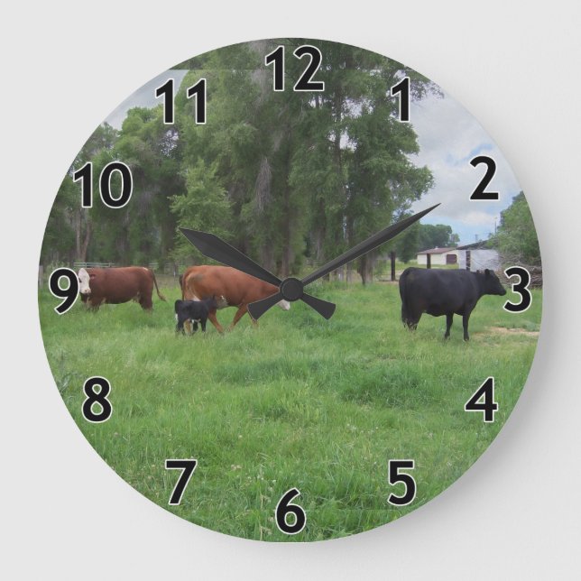 Calves and Cows in Pasture Large Clock (Front)