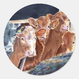 Calves at Brunch Round Stickers