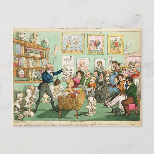 Calves' Heads and Brains; a Phrenological Postcard (Front)