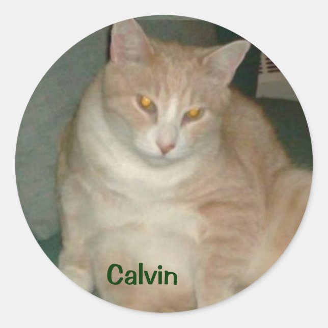 CALVIN STICKER (Front)