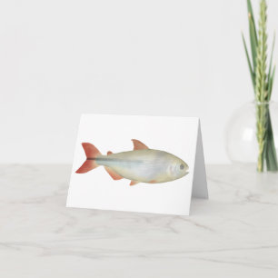 Camapuã Note Card