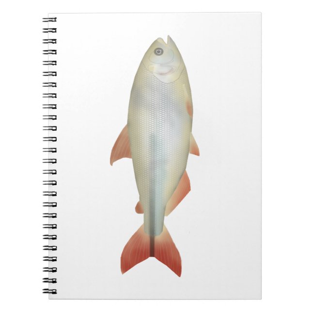 Camapuã Notebook (Front)