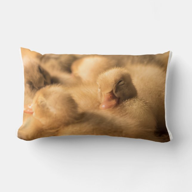 Camaraderie Lumbar Cushion (Front)