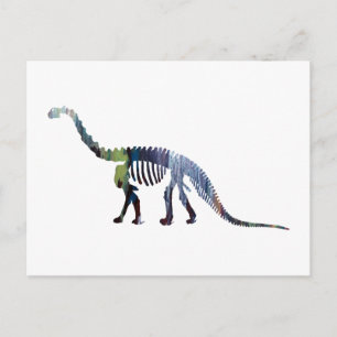 camarasaurus skeleton postcard