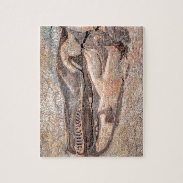 Camarasaurus Skull - Dinosaur National Monument Jigsaw Puzzle (Vertical)