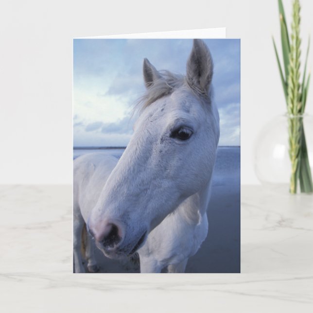 Camargue Horse Card (Front)