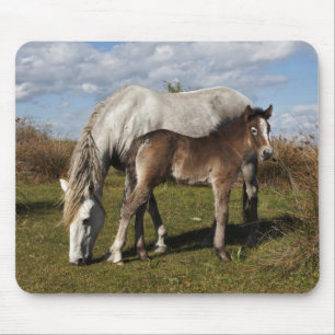Camargue Horse Foal with Mother Mouse Mat