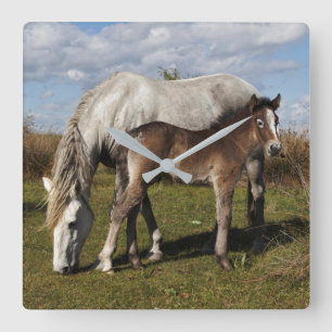 Camargue Horse Foal with Mother Square Wall Clock