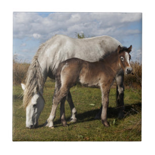 Camargue Horse Foal with Mother Tile
