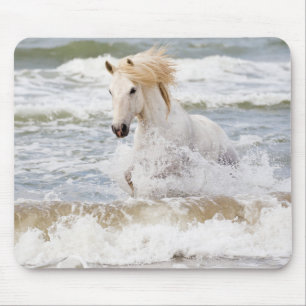 Camargue Horse in the Surf Mouse Mat