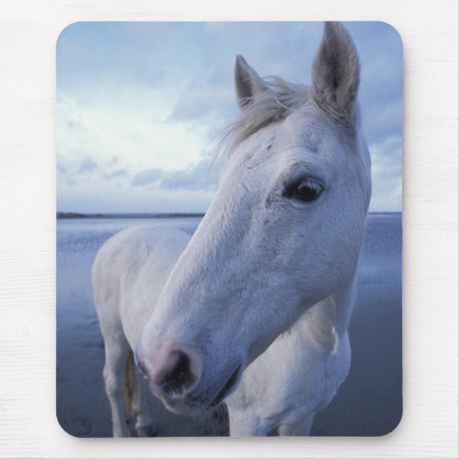 Camargue Horse Mouse Mat (Front)