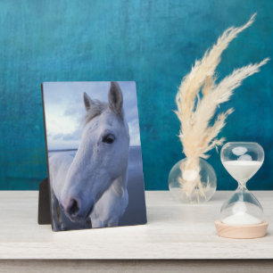 Camargue Horse Plaque