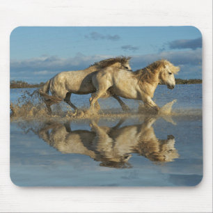 Camargue Horses and Reflection, Southern France Mouse Mat